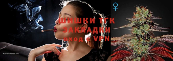 мяу мяу мука Новочеркасск