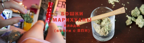 МДПВ Гусев