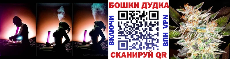 цена Жиздра Шишки марихуана семена